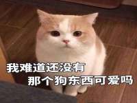 重庆博千隆农业发展有限公司