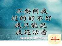 重庆博千隆农业发展有限公司