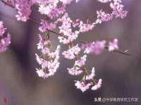 重庆博千隆农业发展有限公司