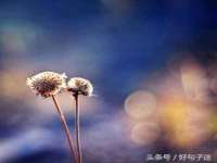 重庆博千隆农业发展有限公司
