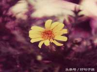 重庆博千隆农业发展有限公司