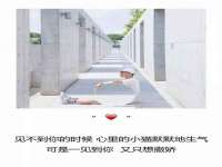 重庆博千隆农业发展有限公司