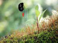 重庆博千隆农业发展有限公司