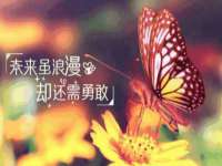 重庆博千隆农业发展有限公司