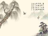 重庆博千隆农业发展有限公司
