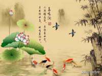 重庆博千隆农业发展有限公司