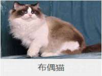 重庆博千隆农业发展有限公司