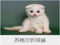 重庆博千隆农业发展有限公司