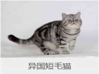 重庆博千隆农业发展有限公司