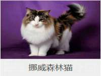 重庆博千隆农业发展有限公司