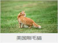 重庆博千隆农业发展有限公司