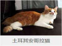 重庆博千隆农业发展有限公司