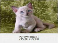 重庆博千隆农业发展有限公司