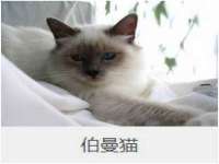 重庆博千隆农业发展有限公司