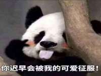 重庆博千隆农业发展有限公司
