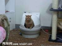 重庆博千隆农业发展有限公司