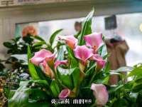 重庆博千隆农业发展有限公司