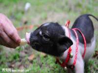 重庆博千隆农业发展有限公司