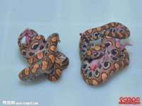 重庆博千隆农业发展有限公司