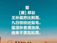 重庆博千隆农业发展有限公司