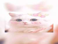 重庆博千隆农业发展有限公司