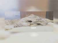 重庆博千隆农业发展有限公司