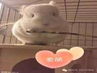 重庆博千隆农业发展有限公司