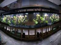 重庆博千隆农业发展有限公司