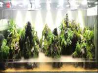 重庆博千隆农业发展有限公司
