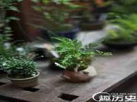 重庆博千隆农业发展有限公司
