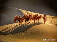 重庆博千隆农业发展有限公司