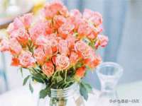 重庆博千隆农业发展有限公司