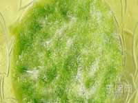 重庆博千隆农业发展有限公司
