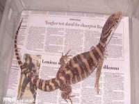 重庆博千隆农业发展有限公司