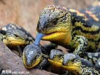 重庆博千隆农业发展有限公司
